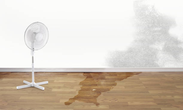 Best Commercial water damage restoration  in Labasas, CA