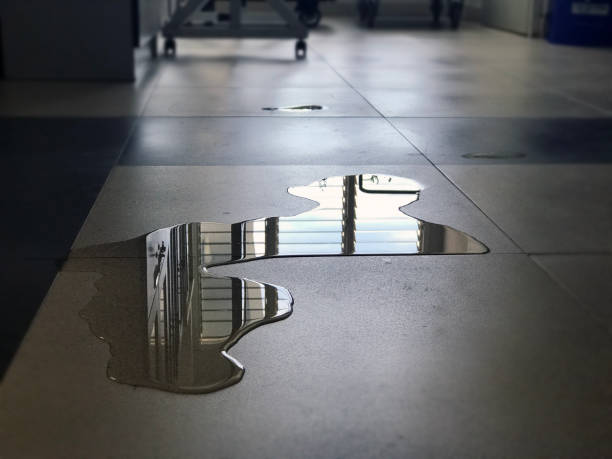 Best 24/7 water damage repair  in Labasas, CA