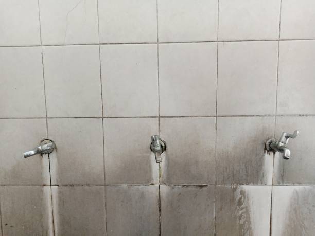 Best Mold removal after water damage  in Labasas, CA