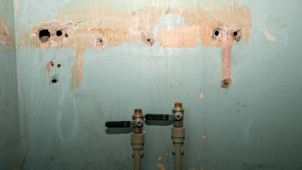 Best Water damage cleanup near me  in Labasas, CA