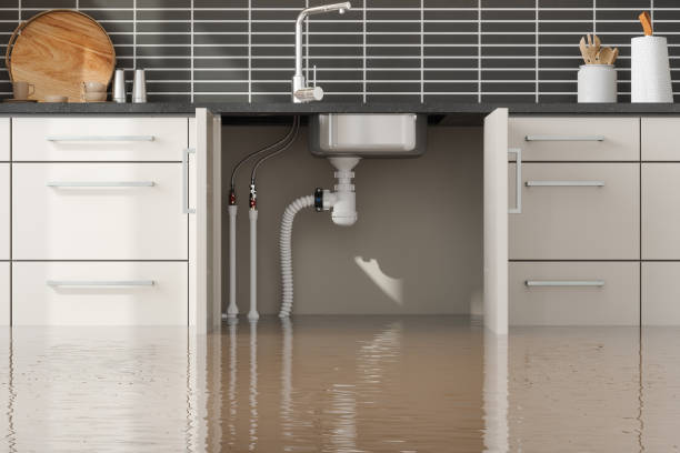 Best Professional water damage repair  in Labasas, CA